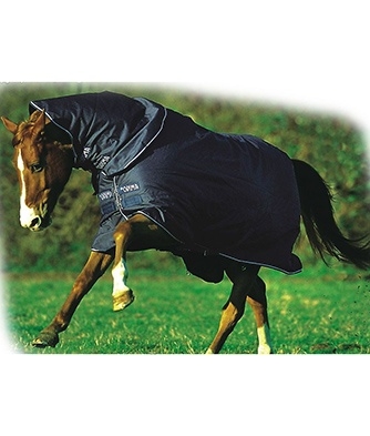 Horse Coat